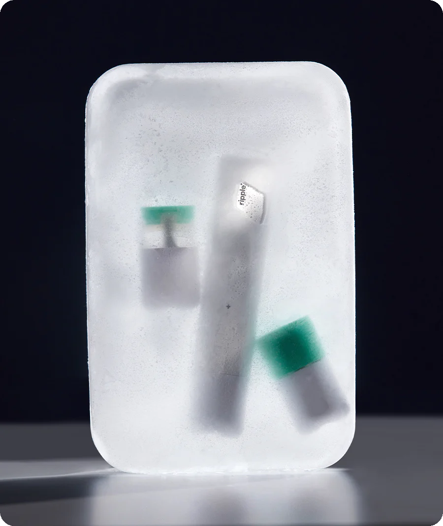 ARCTIC BITE - Image 8