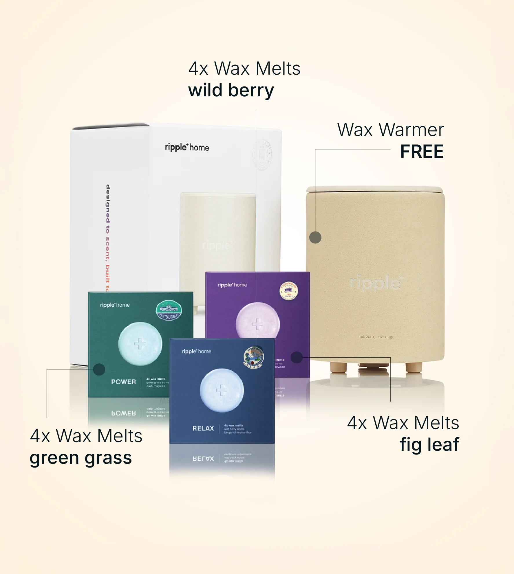 Earthy & Fresh Scents - Image 2