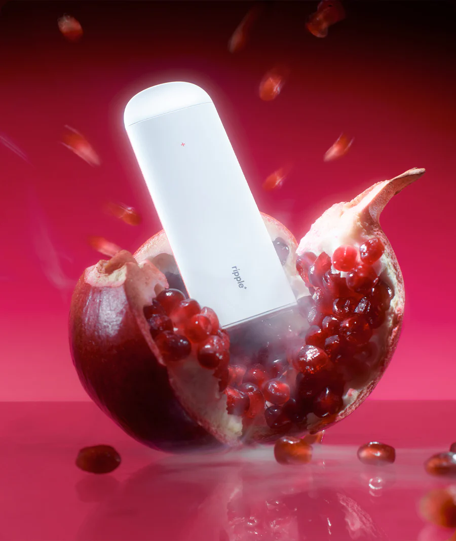 CALL OF FRUITY - Image 4