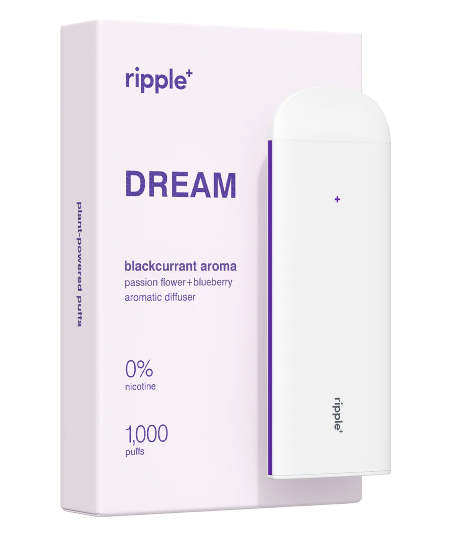 DREAM - Image 2