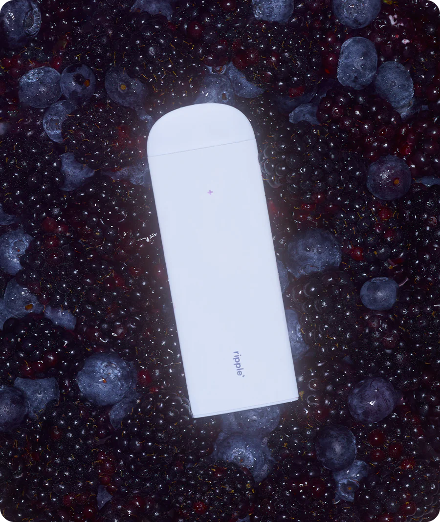 DREAM - Image 3