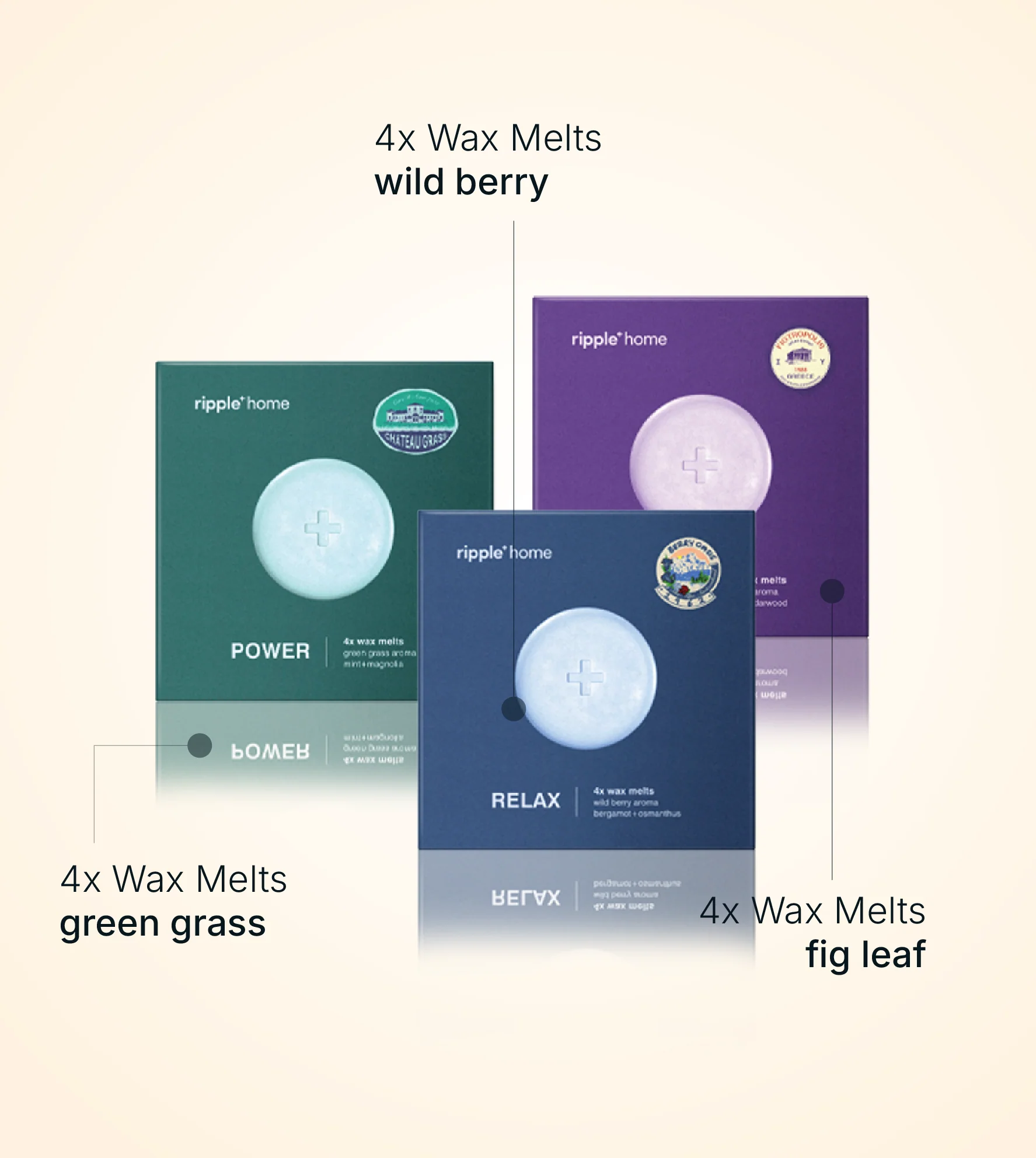 Earthy & Fresh Melts - Image 2