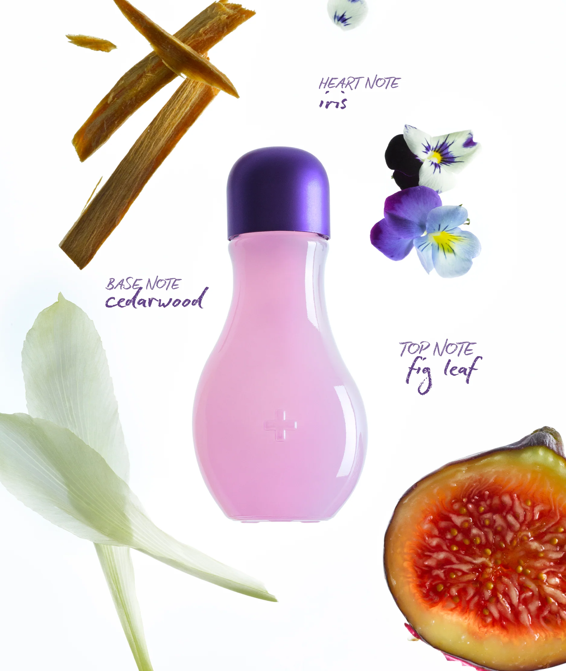 FIG LEAF DROPS - Image 3