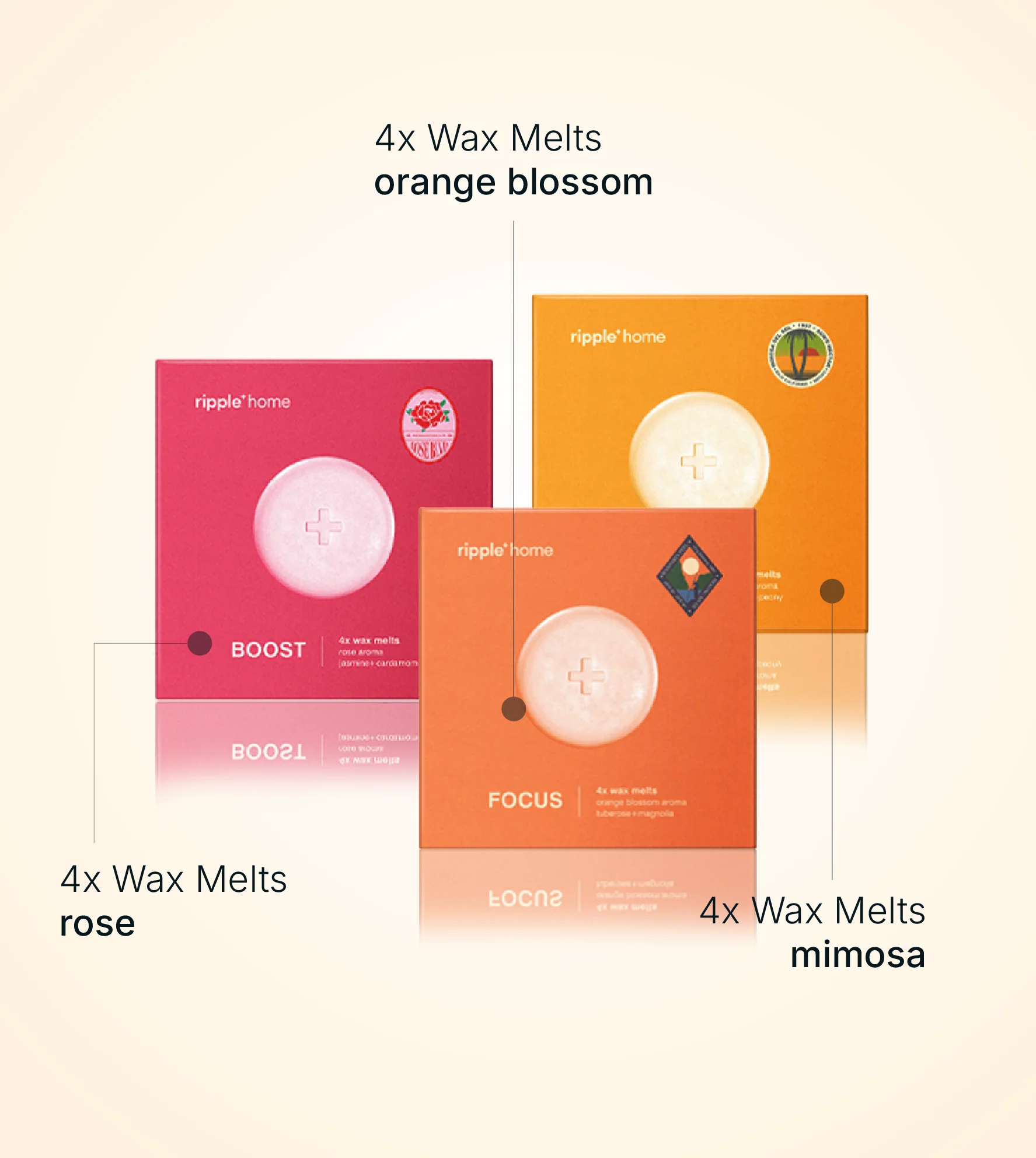 Floral & Radiant Melts - Image 2