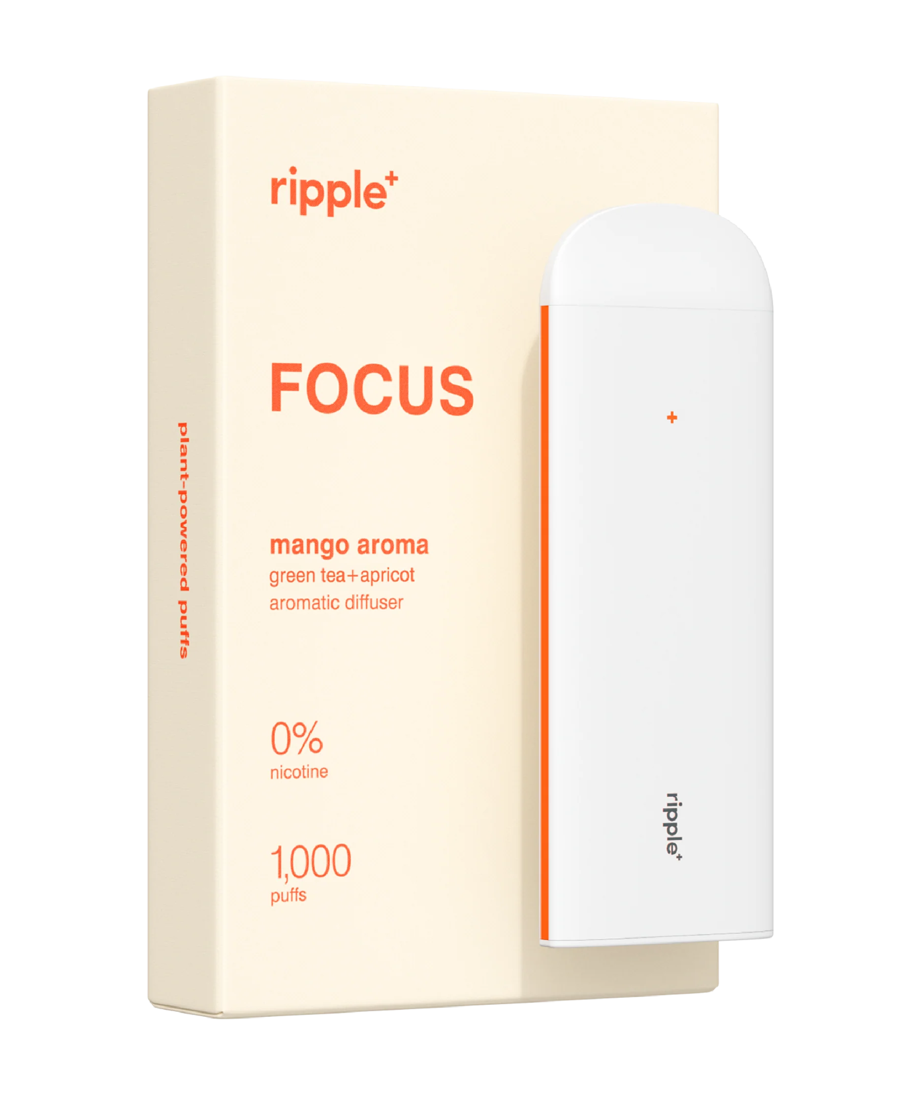 FOCUS - Image 2