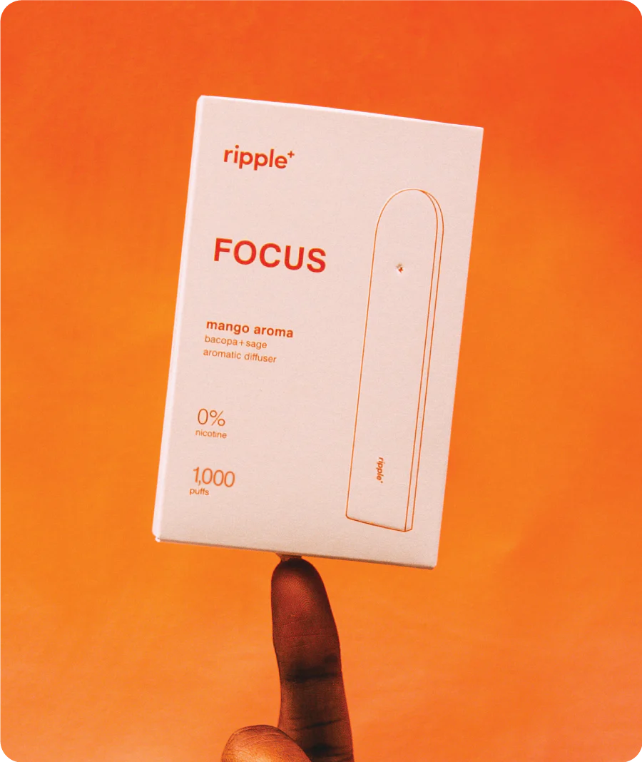 FOCUS - Image 5