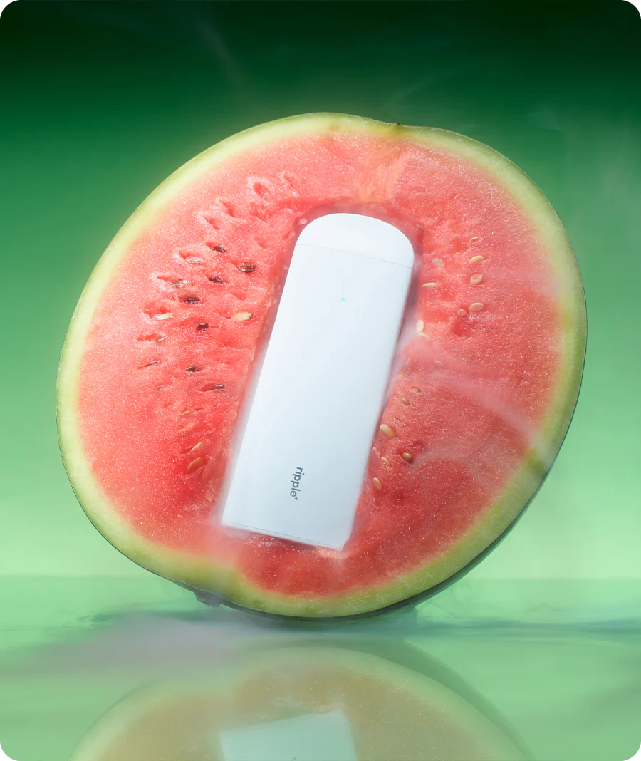 FREE - Image 4