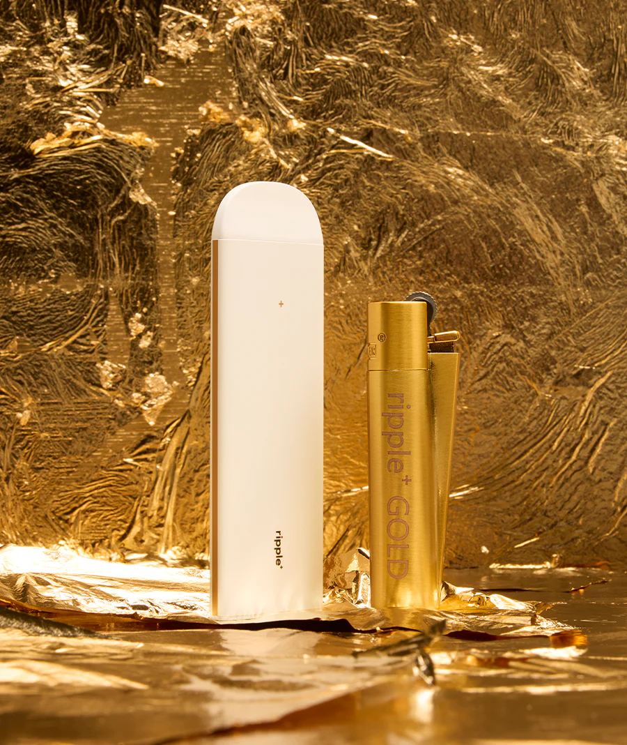 GOLD SET - Image 6