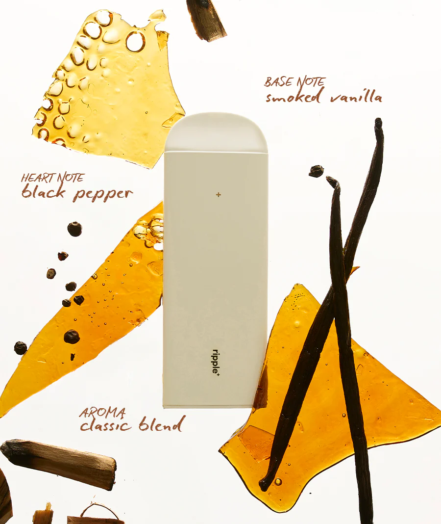 GOLD SET - Image 9