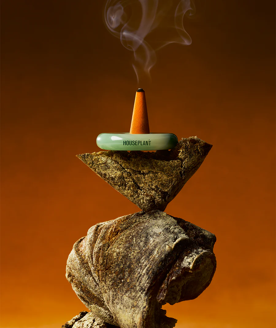 HOUSEPLANT MINI-PACK - Image 4