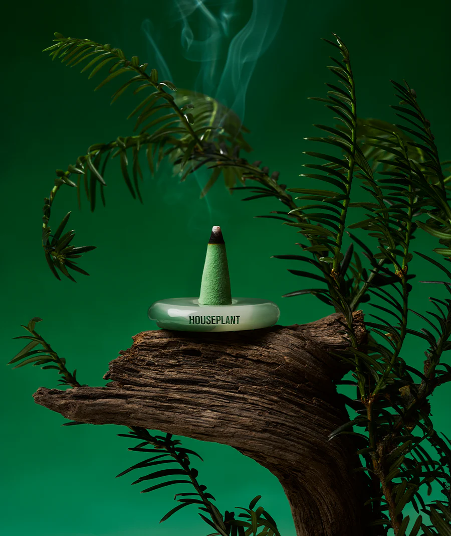 HOUSEPLANT MINI-PACK - Image 5