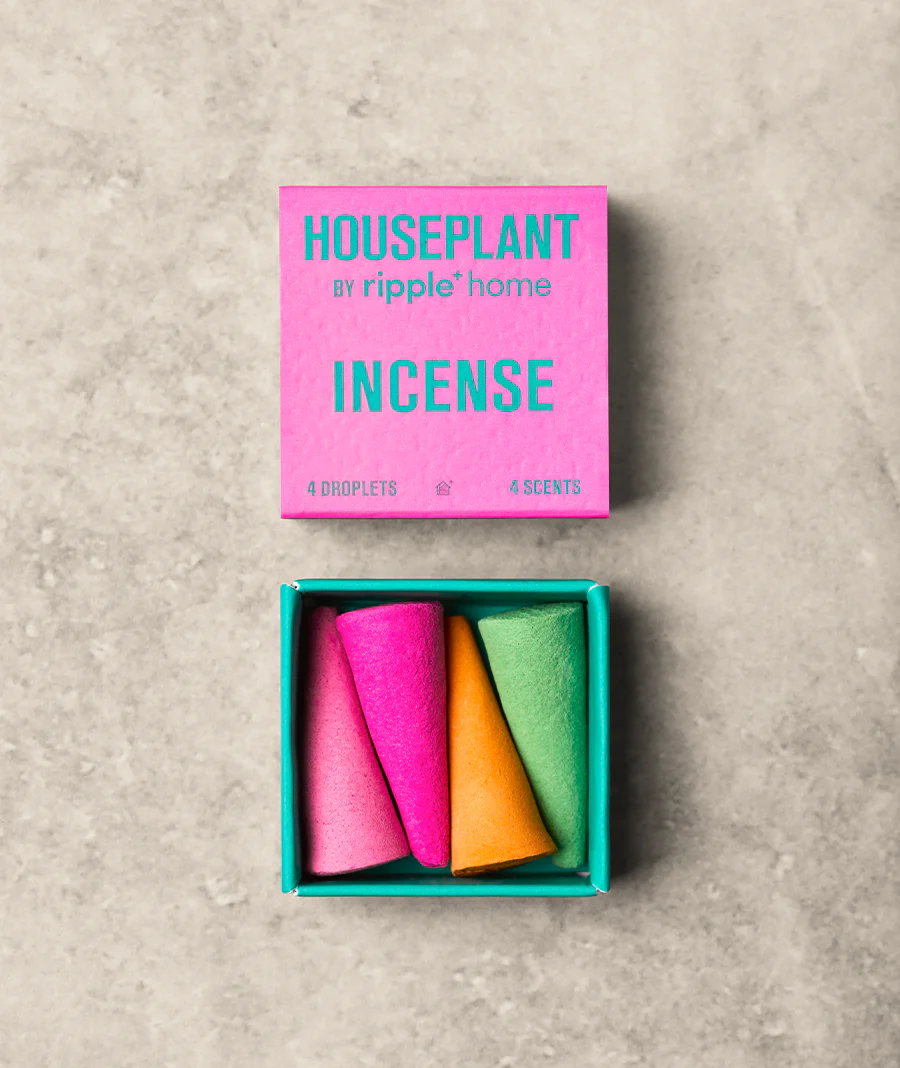 HOUSEPLANT MINI-PACK - Image 7