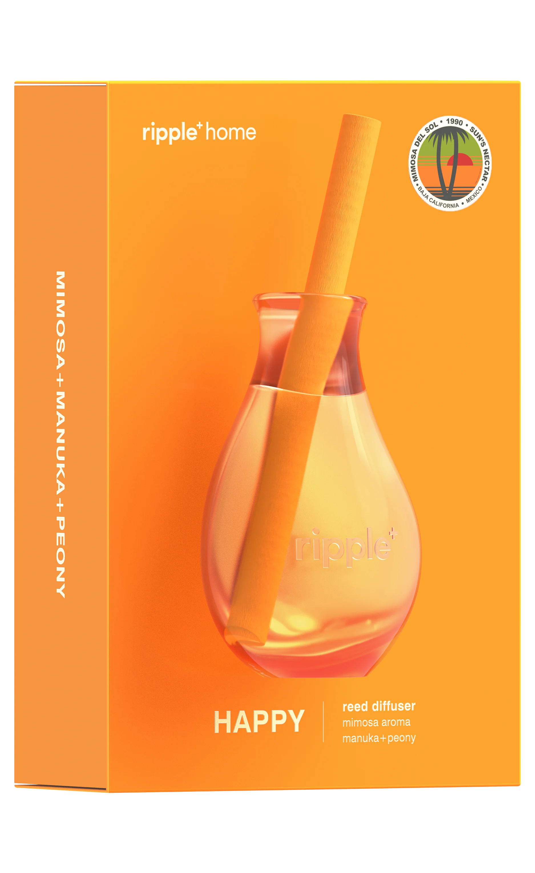 Mimosa Del Sol