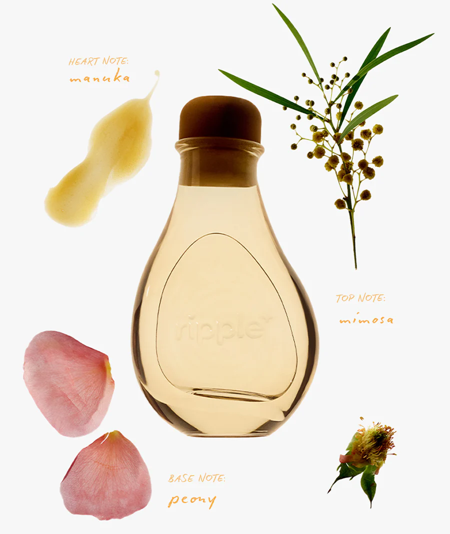 Mimosa Del Sol - Image 6