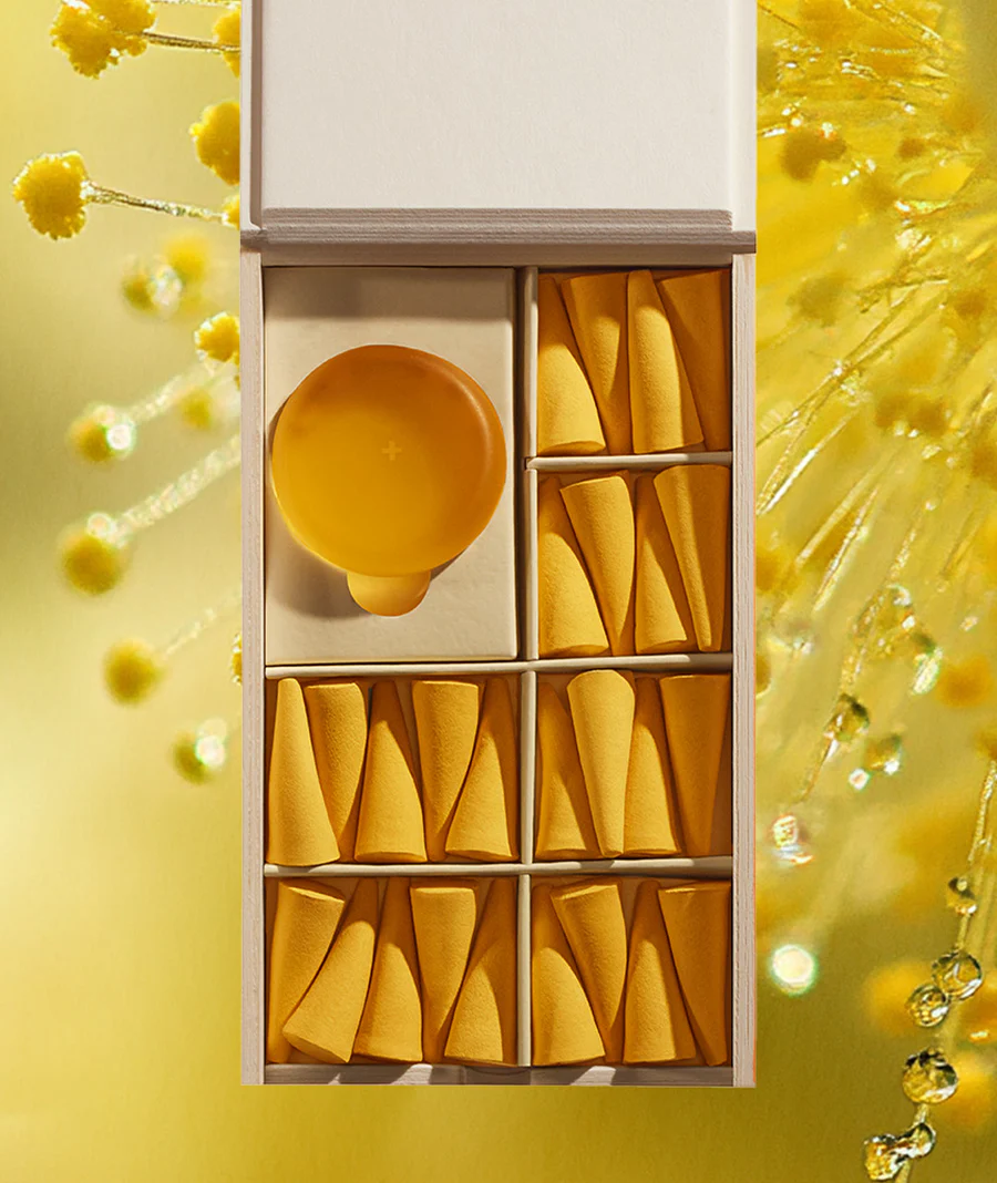 Mimosa Del Sol - Image 2