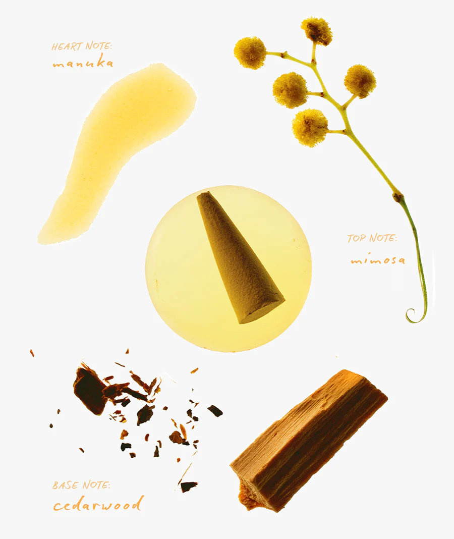 Mimosa Del Sol - Image 4