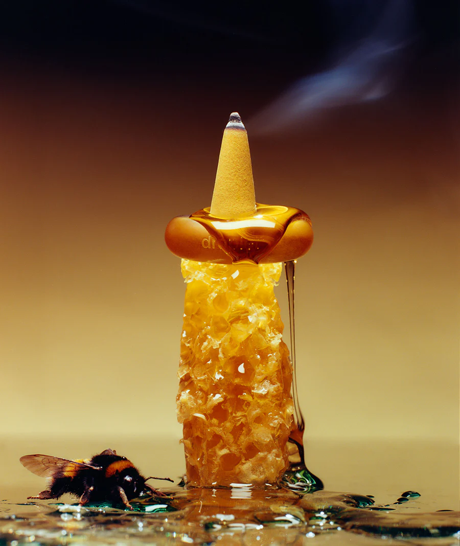 Mimosa Del Sol - Image 5