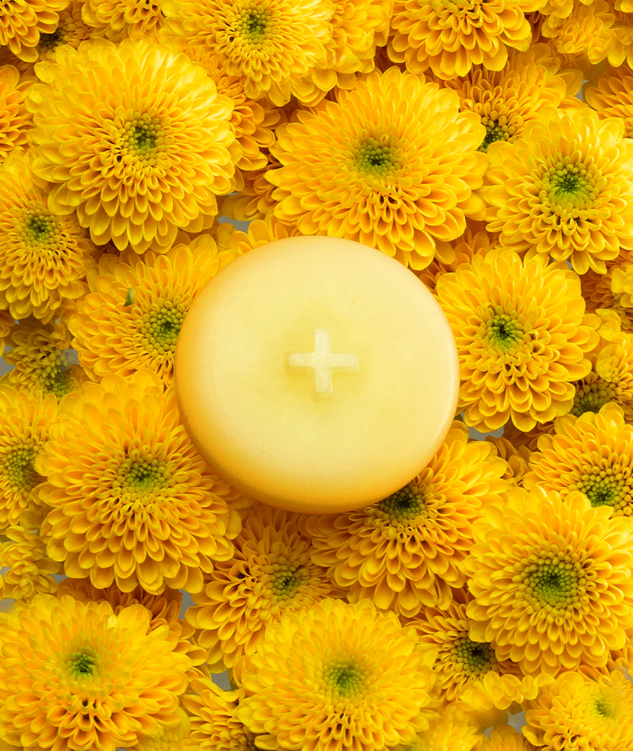 MIMOSA MELTS - Image 2