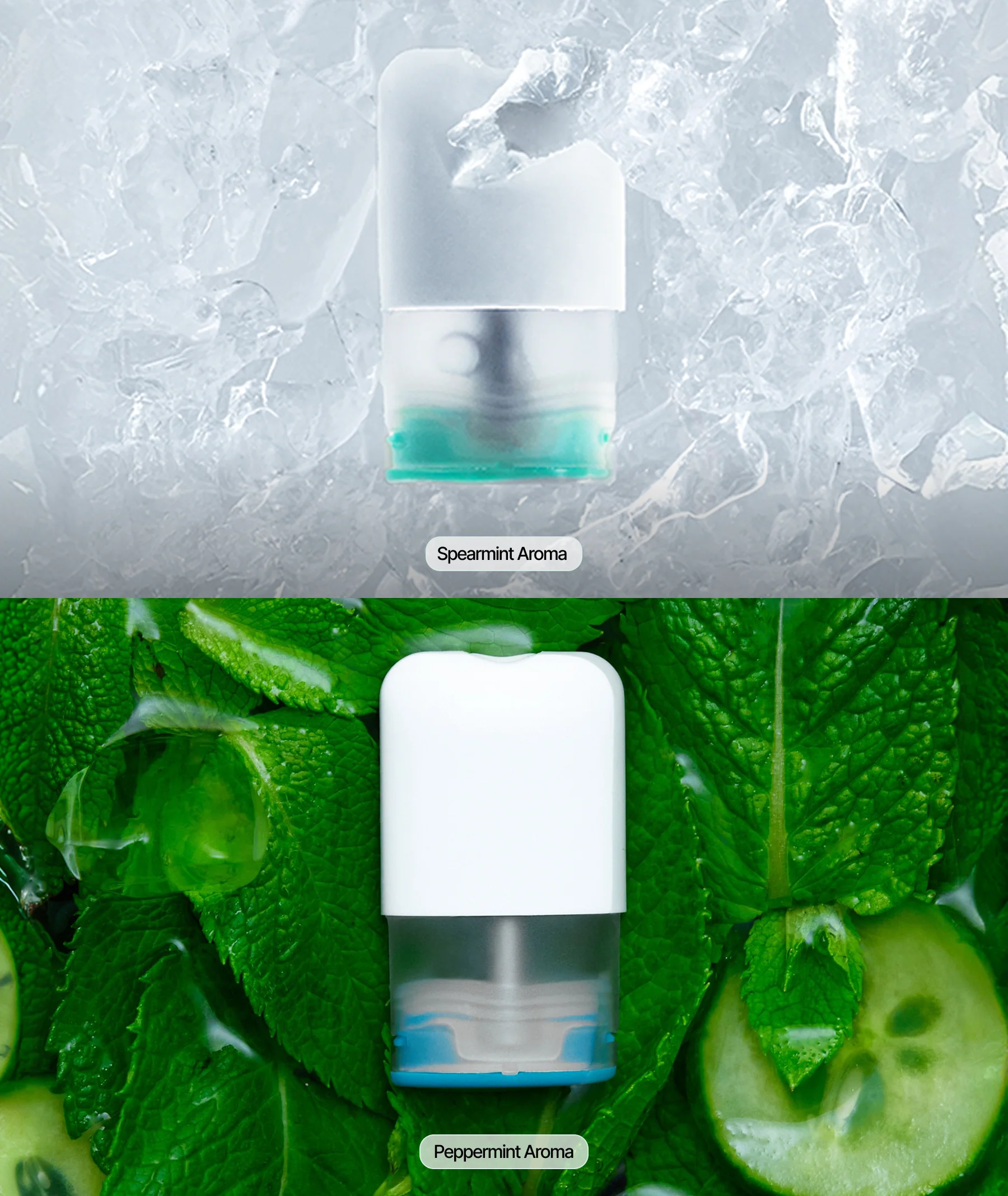 MINT POD KIT - Image 3