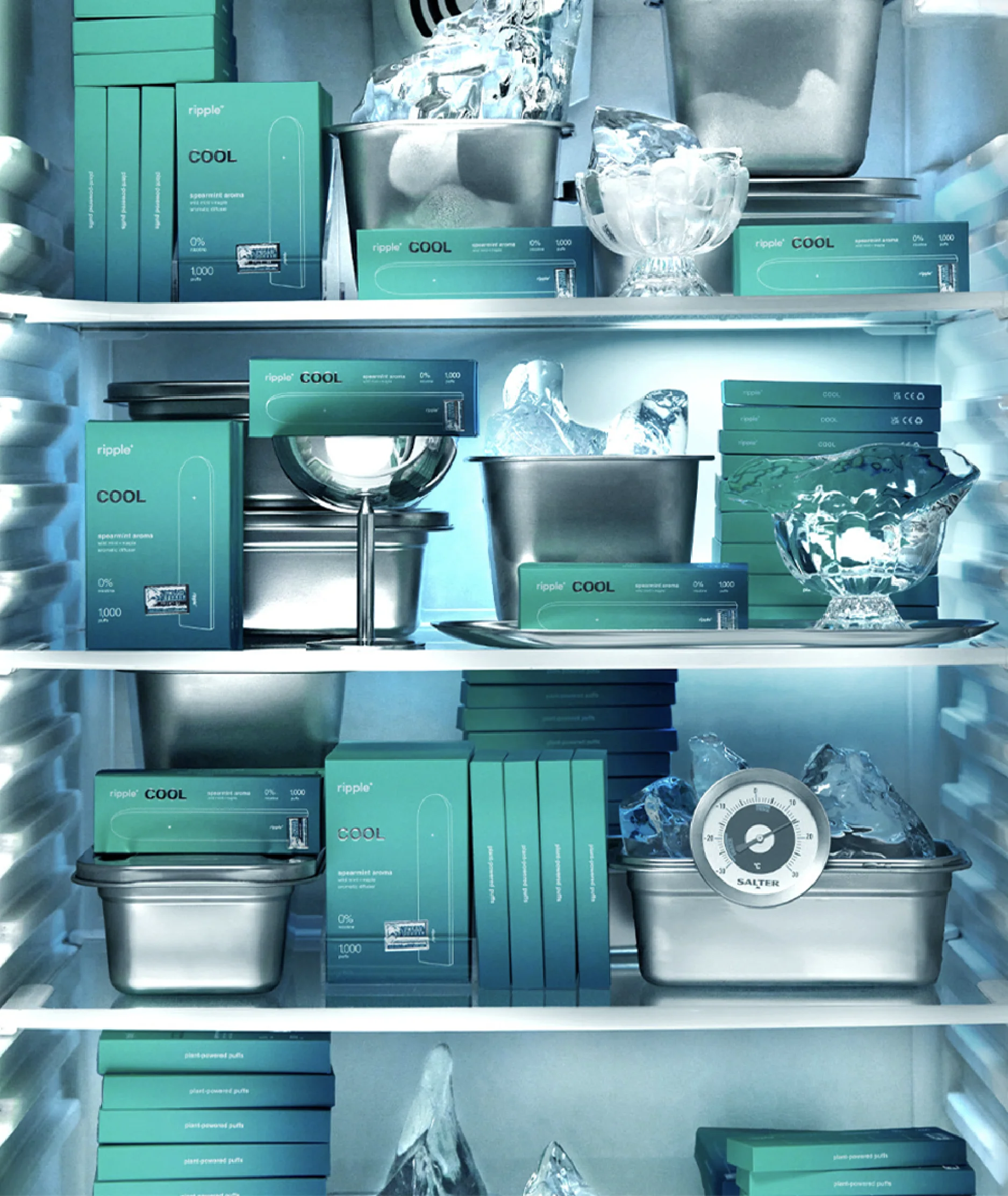 THE SWITCH UP KIT - Image 7