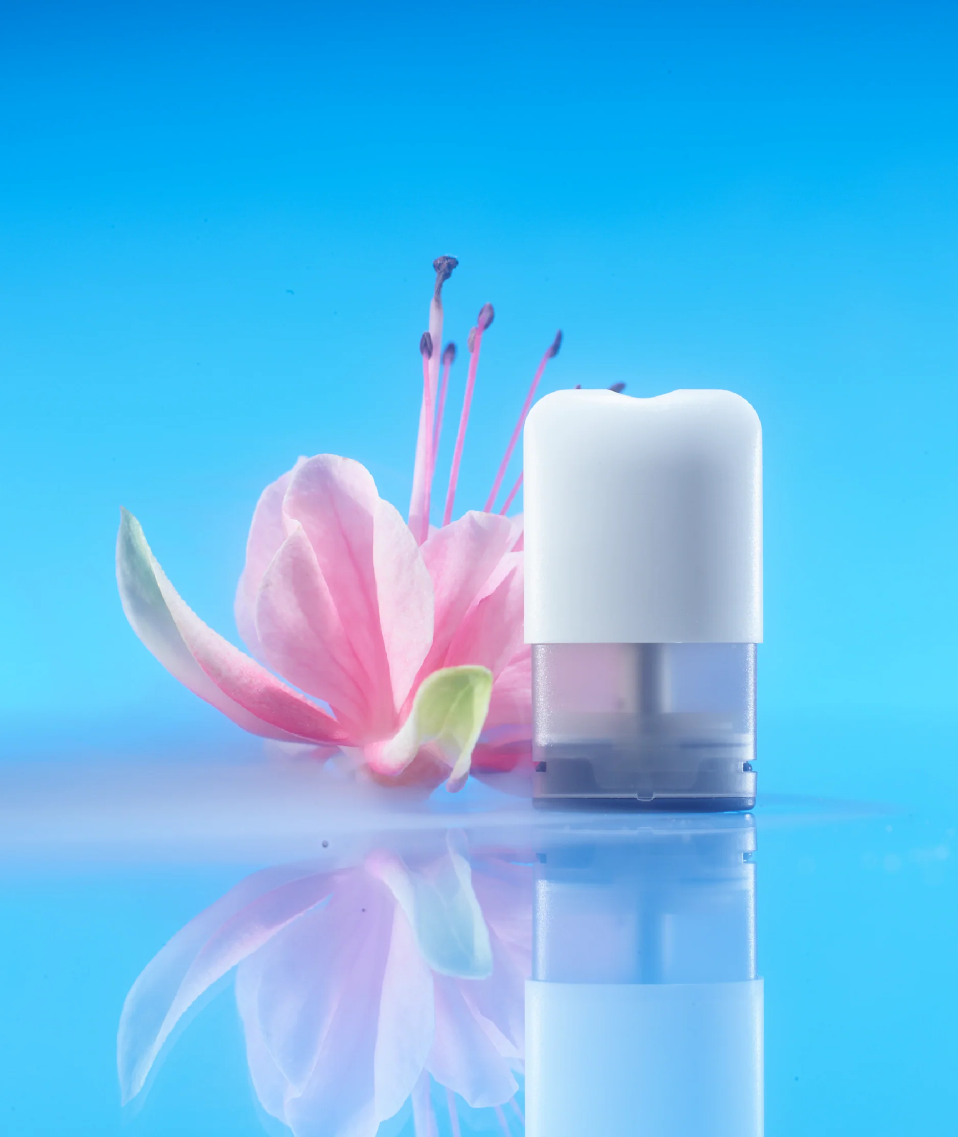 RELAX Pods - Image 5