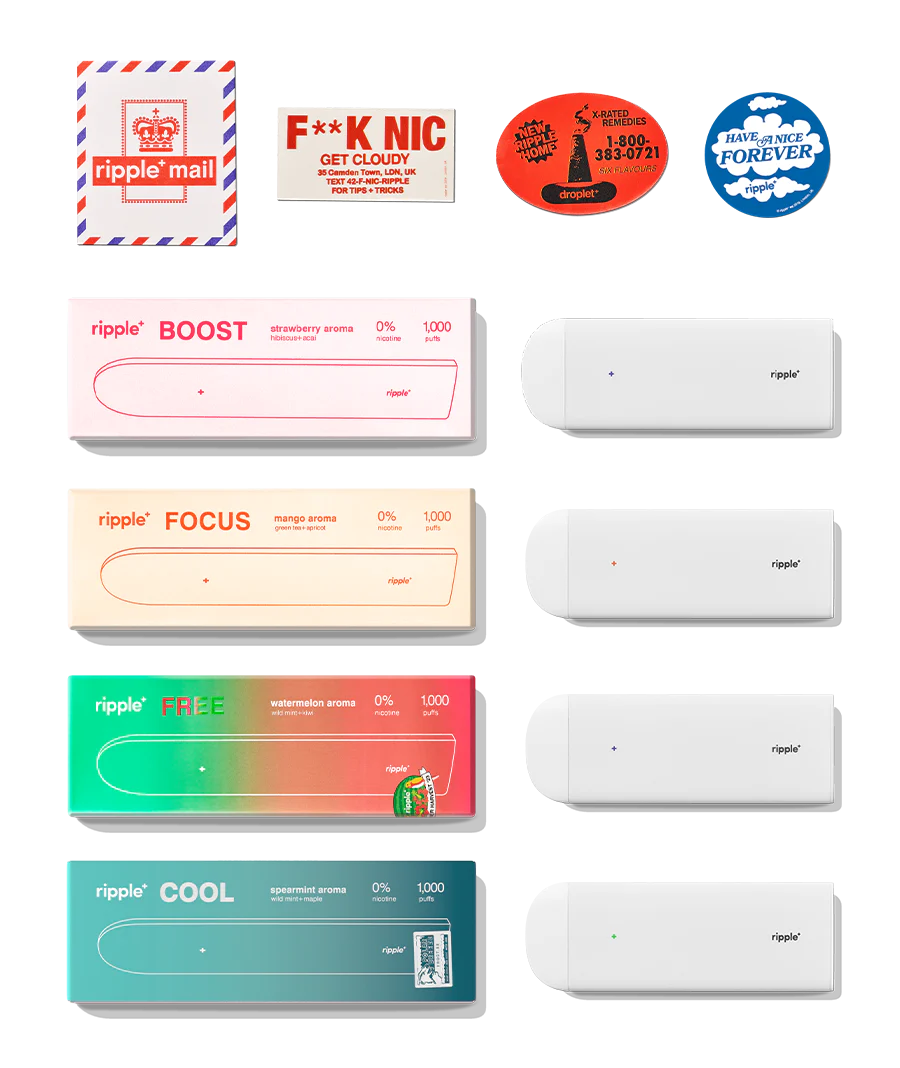BEST-SELLERS - Image 4