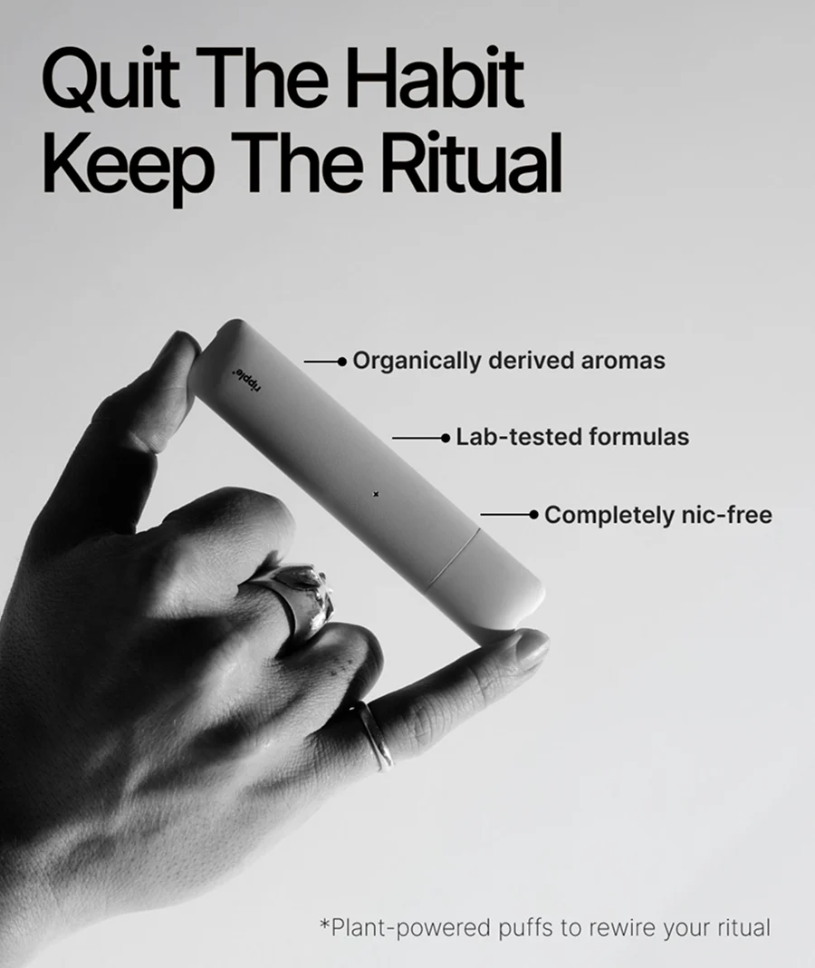 THE SWITCH KIT - Image 4