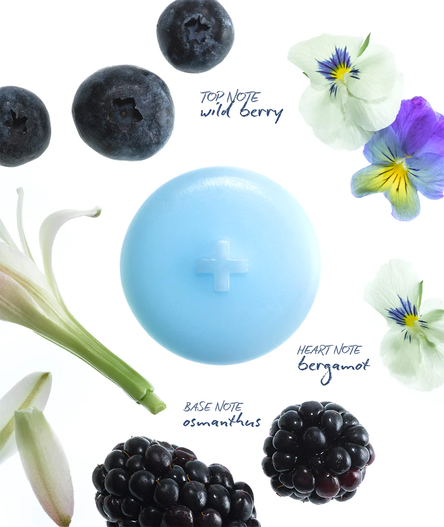 WILD BERRY MELTS - Image 3